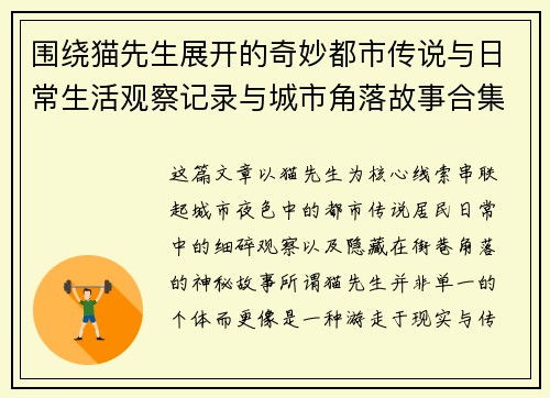 围绕猫先生展开的奇妙都市传说与日常生活观察记录与城市角落故事合集